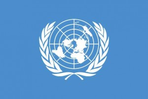 модель ООН