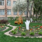 dsc06958