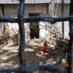dsc00107